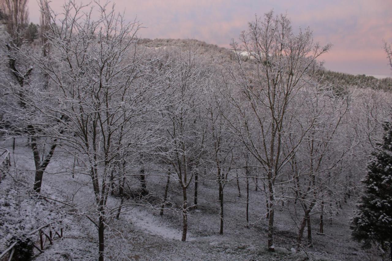 Altra Meta B&B Gubbio Buitenkant foto